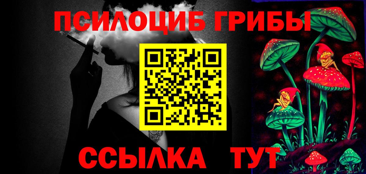 Галлюциногенные грибы GOLDEN TEACHER  Псилоцибиновые грибы Psilocybe  Заинск  Вход с VPN 
