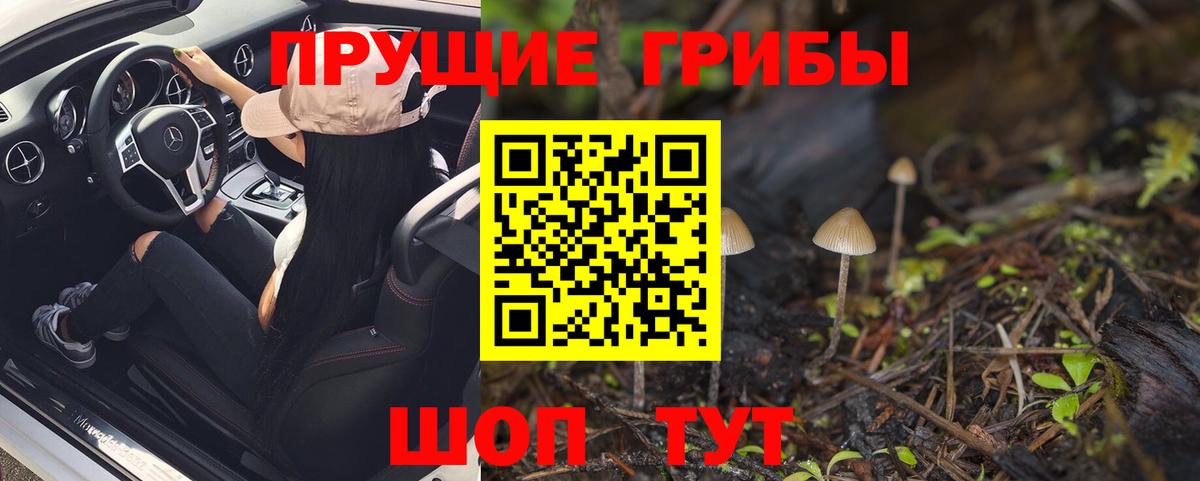 Псилоцибиновые грибы Cubensis Заинск